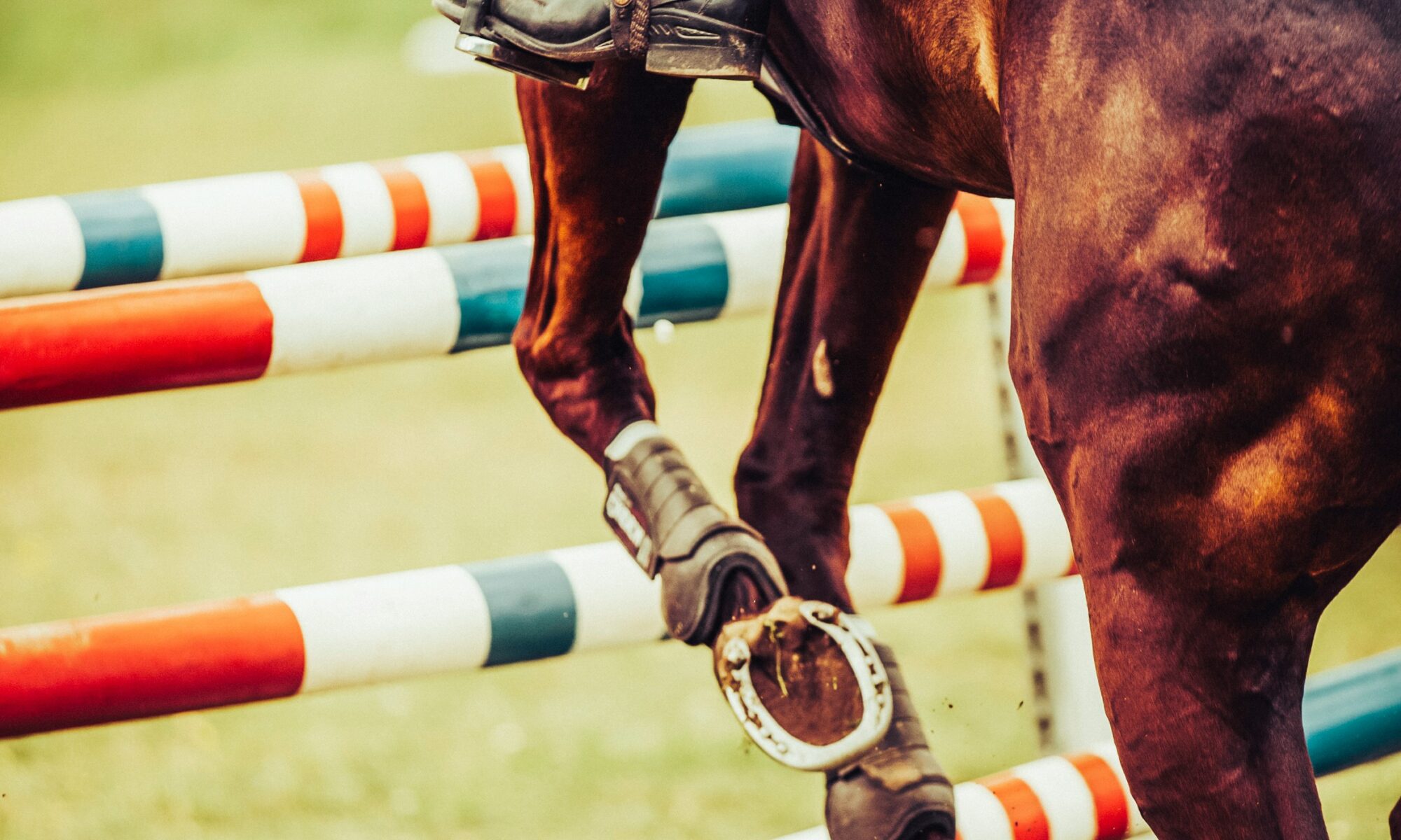 Horse Jumping Fence